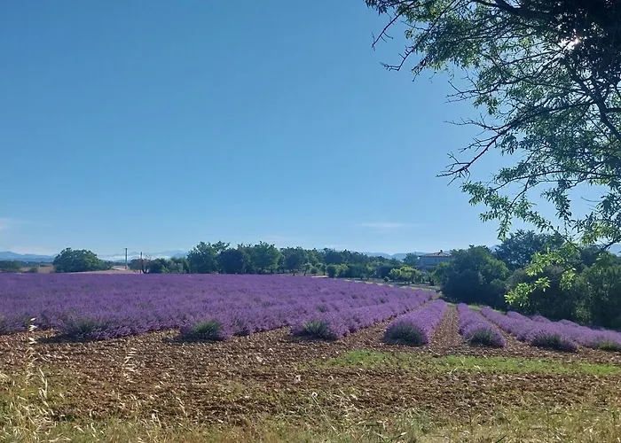 Lou Limbert Plateau De Holiday home *