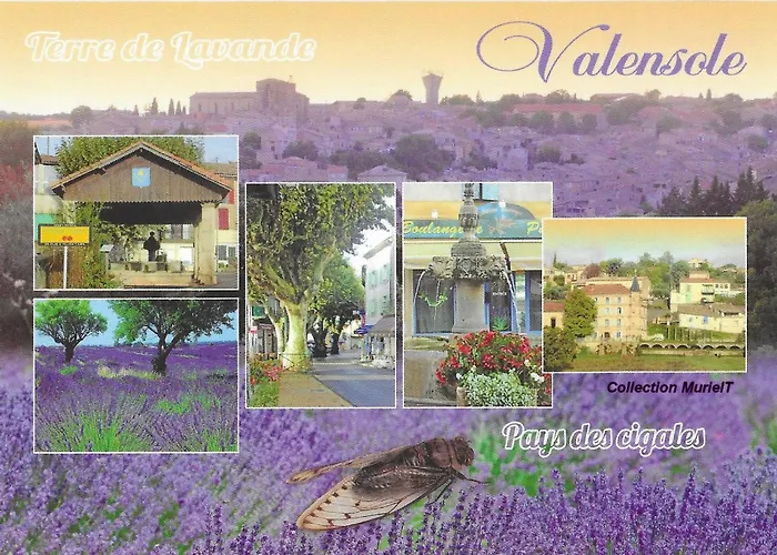 Lou Limbert Plateau De Holiday home Valensole