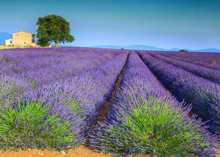 Lou Limbert Plateau De Holiday home