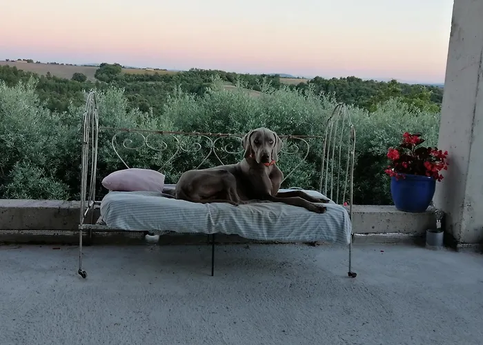 Lou Limbert Plateau De