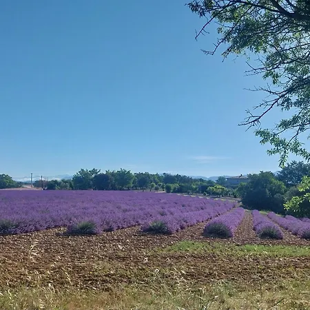 Lou Limbert Plateau De Semesterbostad *