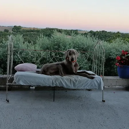 Lou Limbert Plateau De